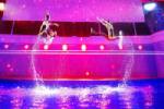 Wonder of the Seas Gallery Image